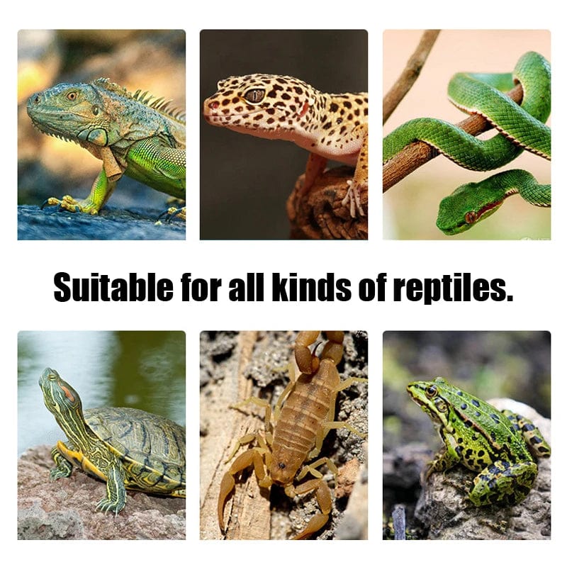Terrarium Reptiles lizard Heat Mat Climbing Pet Heating Warm Pads Intelligent Adjustable Temperature Controller Mats 110v/220v | Stornfield