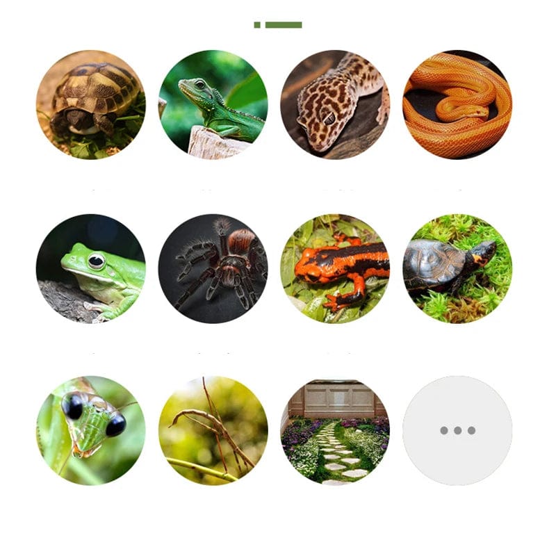 Thicken Double Layer Reptile Pets Moss Carpet Cushion Material Frog Tortoise Snake Lizard Mats Moisturizing Fake Lawn | Stornfield