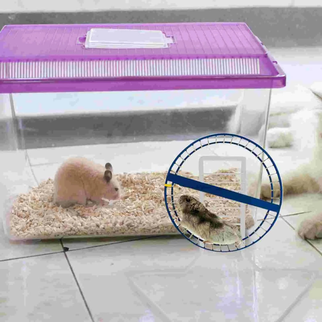 Metal Brackets Running Wheel Support Hamster Syrian Exercise White Iron Small Pet Stand | Stornfield