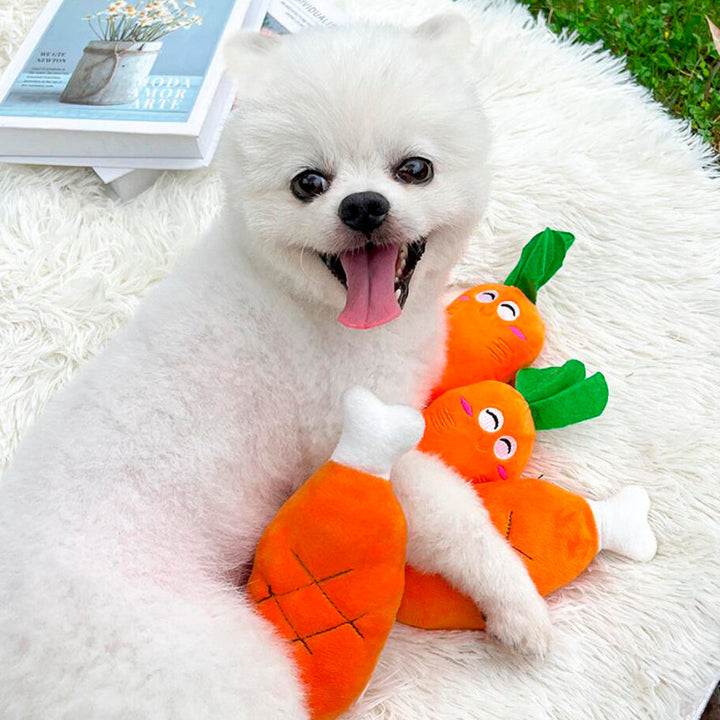 Dog toy – Funny carrot or chicken leg with squeaker | Stornfield
