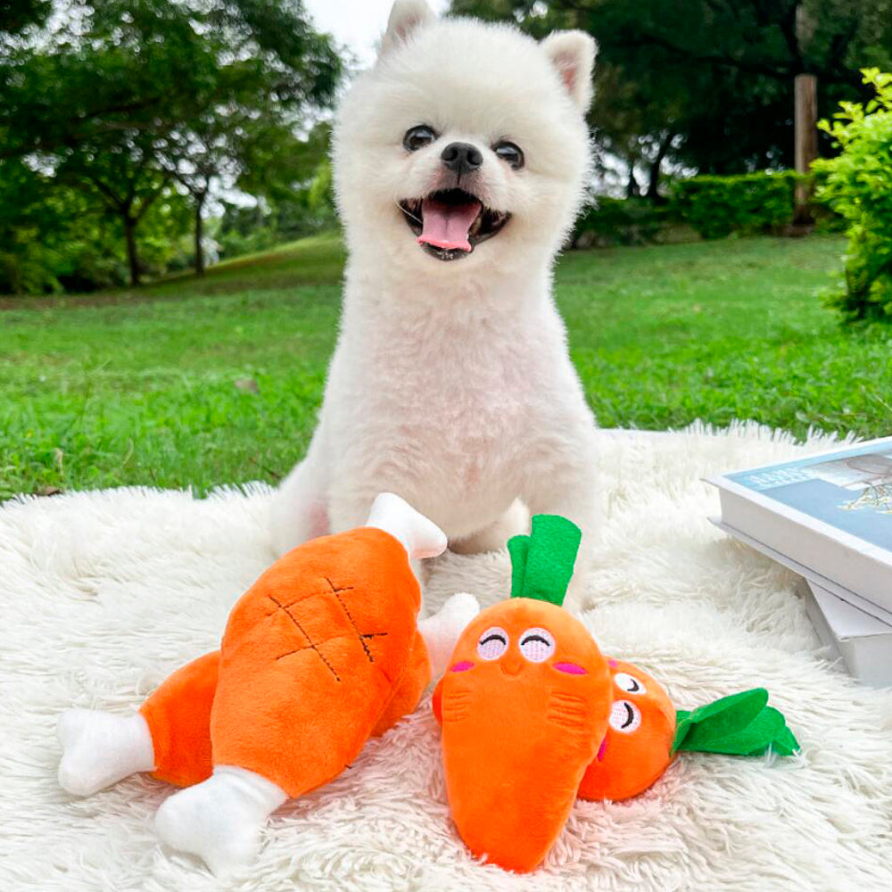 Dog toy – Funny carrot or chicken leg with squeaker | Stornfield