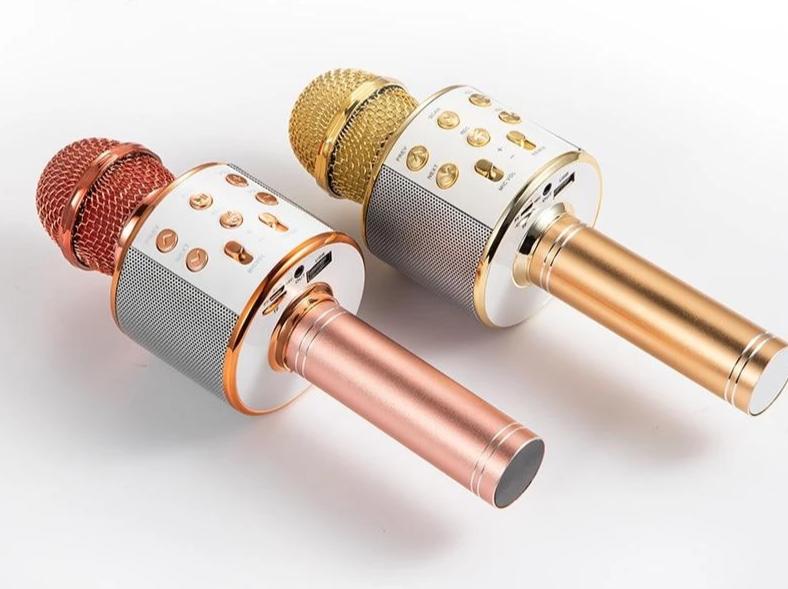Nolae - Bluetooth Karaoke Microphone | Stornfield
