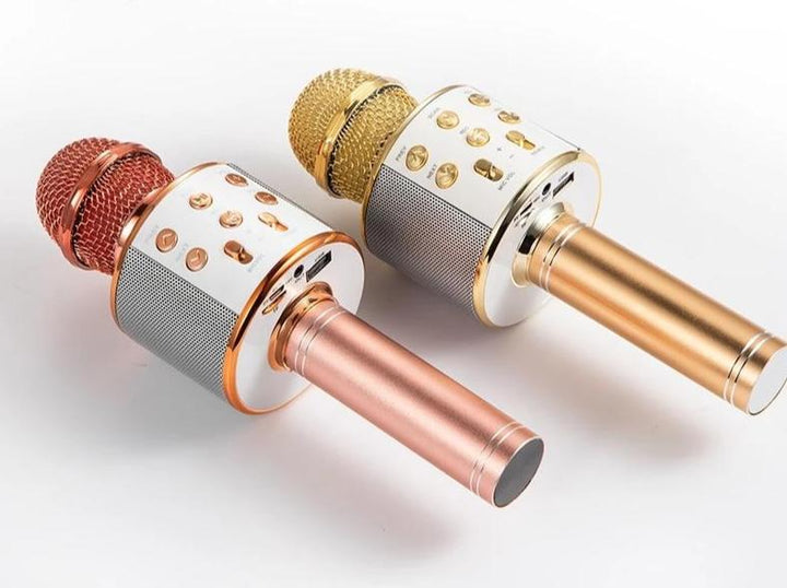 Nolae - Bluetooth Karaoke Microphone | Stornfield