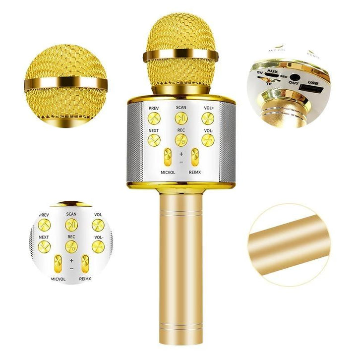 Nolae - Bluetooth Karaoke Microphone | Stornfield