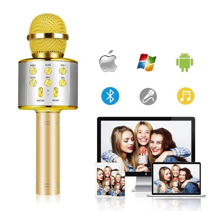 Nolae - Bluetooth Karaoke Microphone | Stornfield