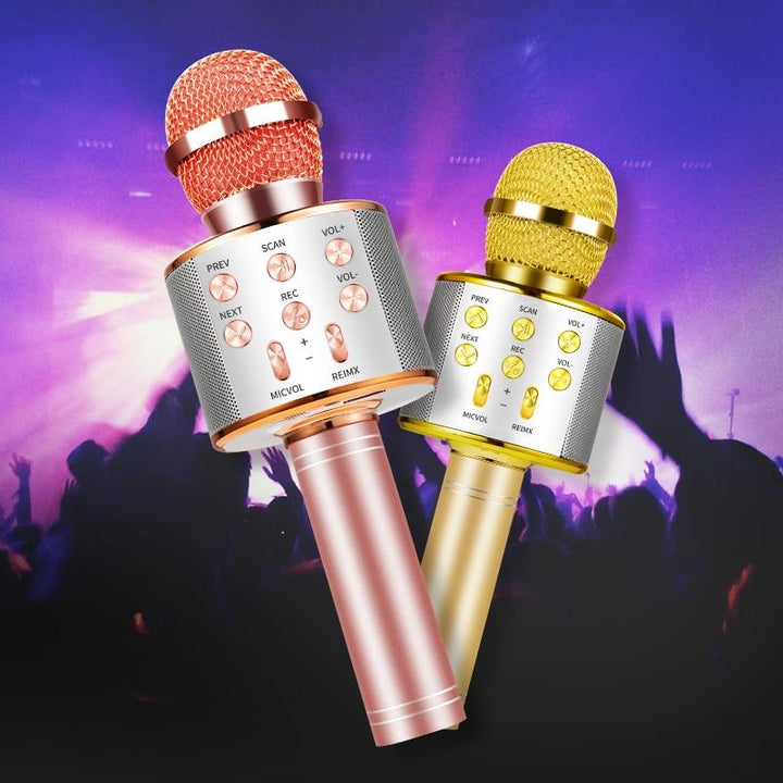 Nolae - Bluetooth Karaoke Microphone | Stornfield