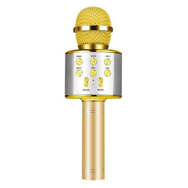 Nolae - Bluetooth Karaoke Microphone | Stornfield