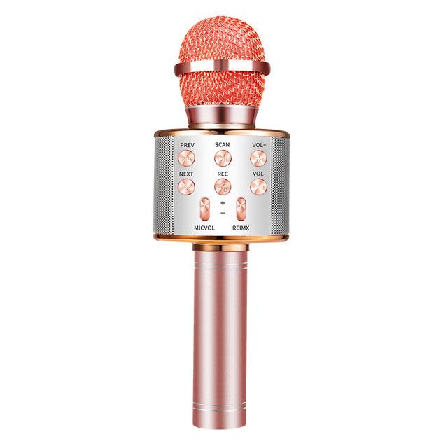 Nolae - Bluetooth Karaoke Microphone | Stornfield