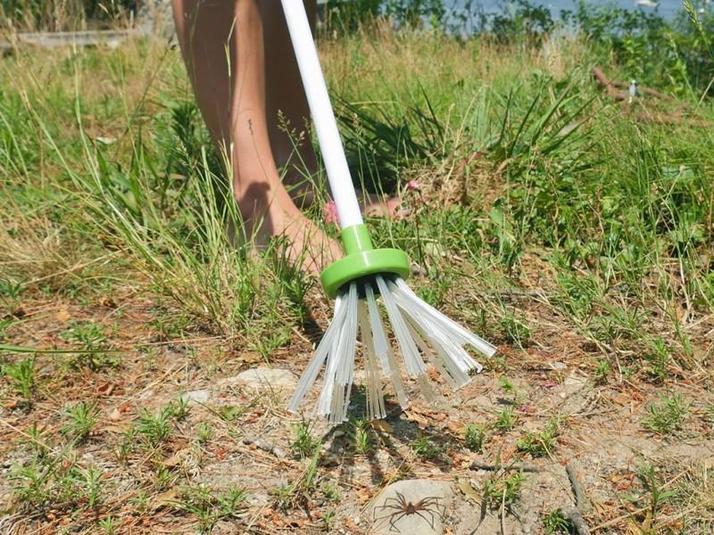 Critter Catcher - Human Insect Capture Stick | Stornfield