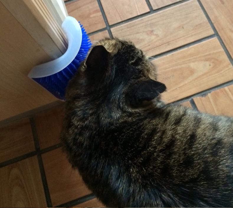 KittyRub - Cat Massage Comb | Stornfield