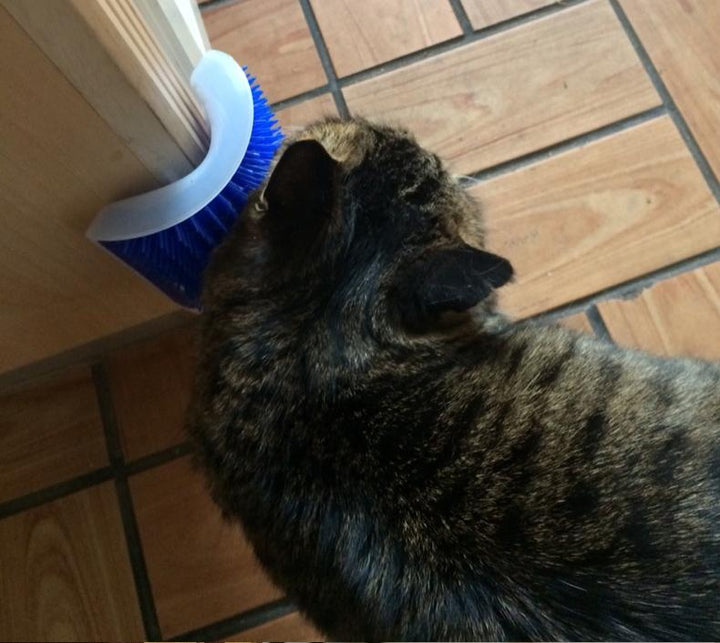 KittyRub - Cat Massage Comb | Stornfield