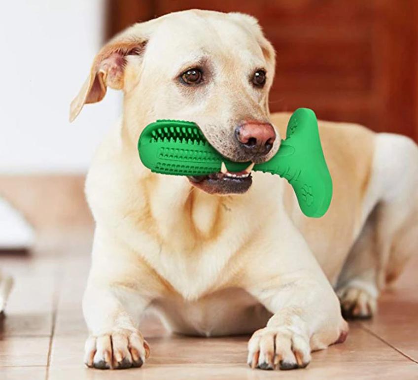 Denchew - Pet Toy Toothbrush | Stornfield