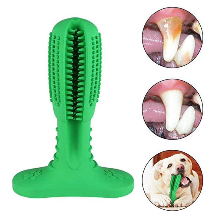 Denchew - Pet Toy Toothbrush | Stornfield