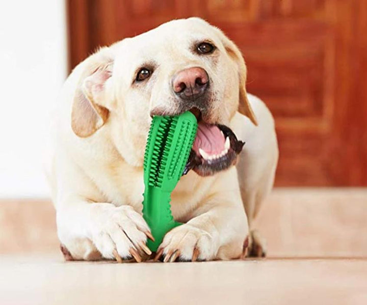 Denchew - Pet Toy Toothbrush | Stornfield