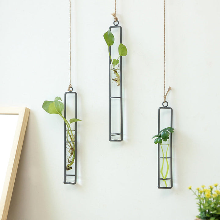Iron Transparent Wall Hanging Flower Pot | Stornfield
