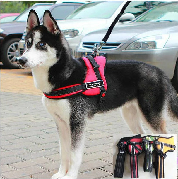 Dog Walking Harness | Stornfield