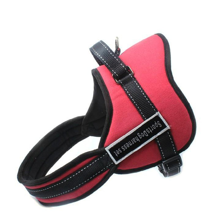 Dog walking harness | Stornfield