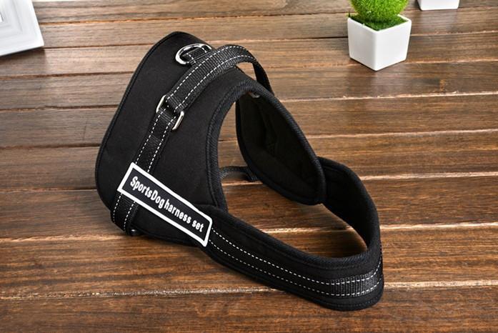 Dog walking harness | Stornfield