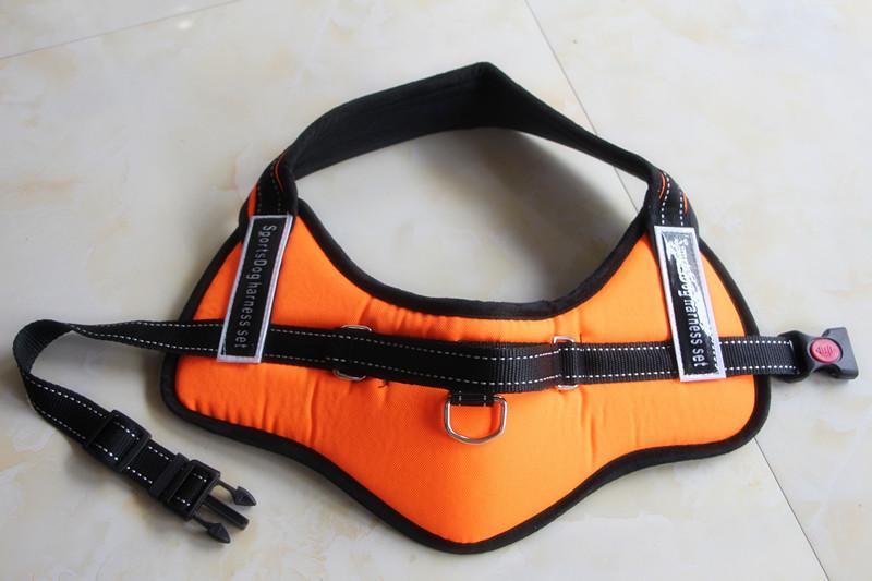 Dog walking harness | Stornfield