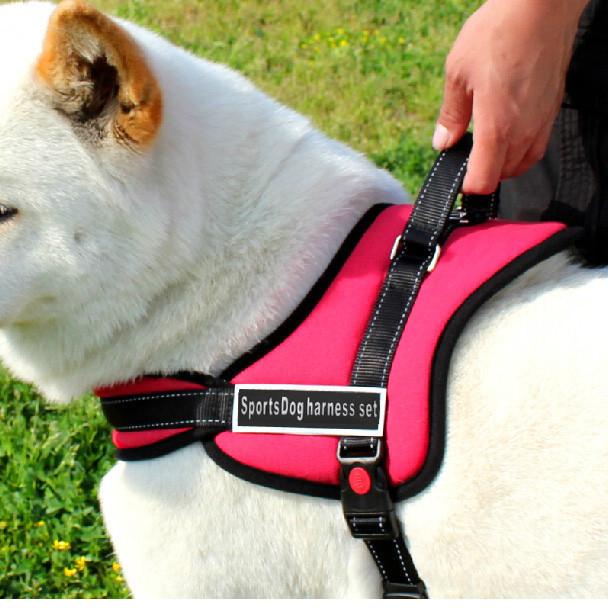 Dog walking harness | Stornfield