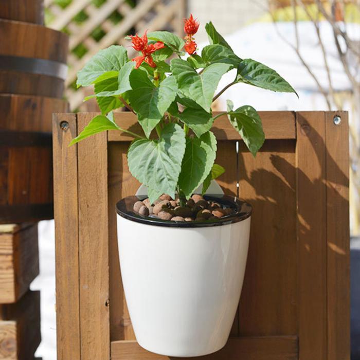 InstanWater - Self Watering Hanging Planter | Stornfield