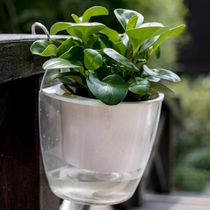 InstanWater - Self Watering Hanging Planter | Stornfield