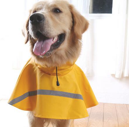 Walkabee - Doggy Raincoat | Stornfield