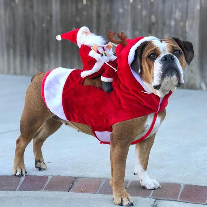 Christmas Dog Costume | Stornfield