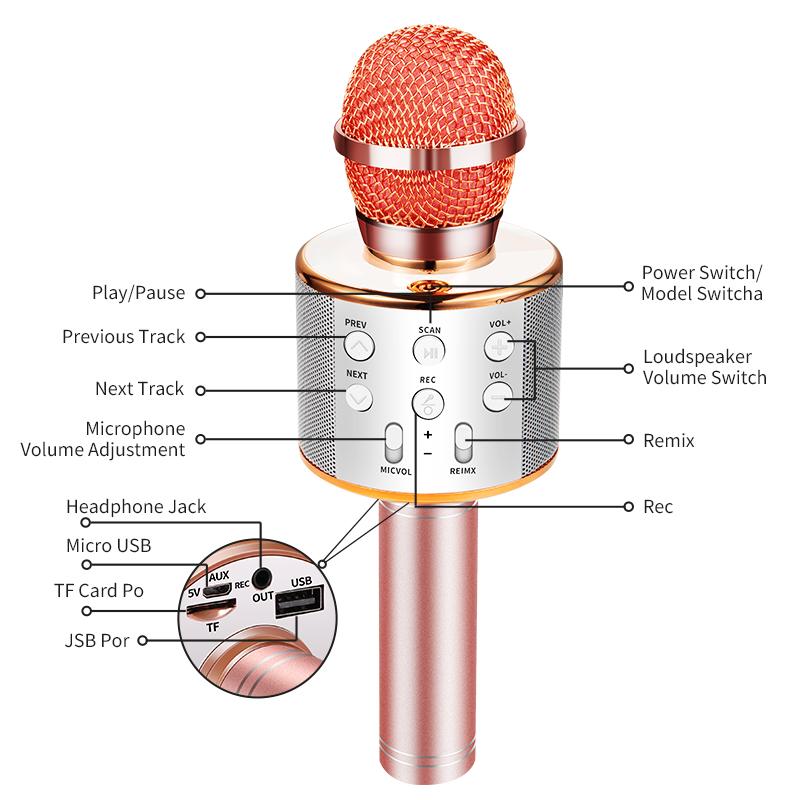 Nolae - Bluetooth Karaoke Microphone | Stornfield