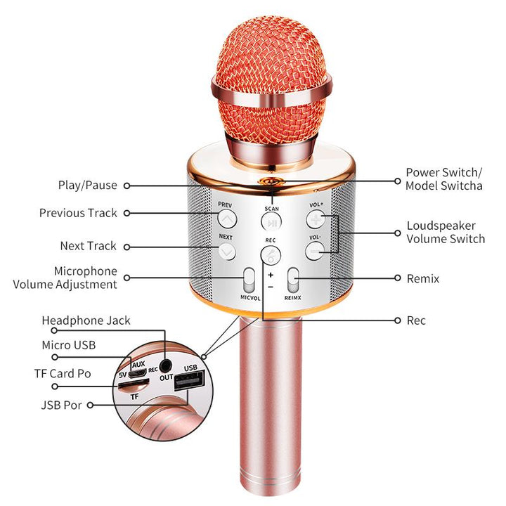 Nolae - Bluetooth Karaoke Microphone | Stornfield