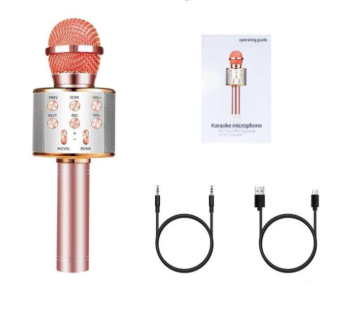 Nolae - Bluetooth Karaoke Microphone | Stornfield