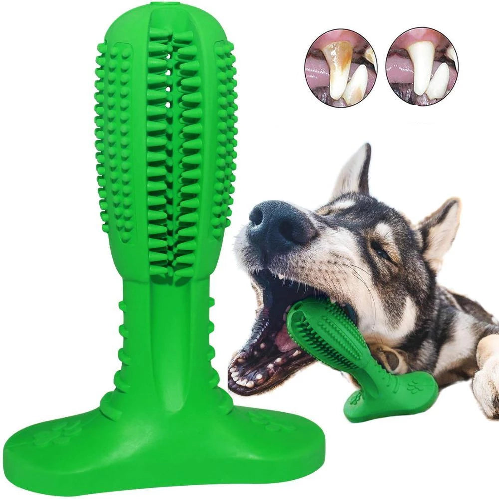 Denchew - Pet Toy Toothbrush | Stornfield