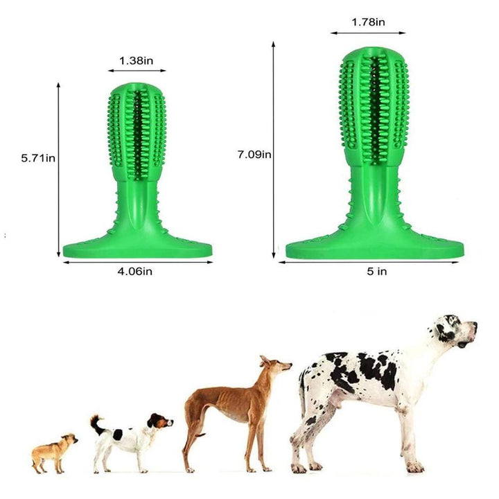 Denchew - Pet Toy Toothbrush | Stornfield