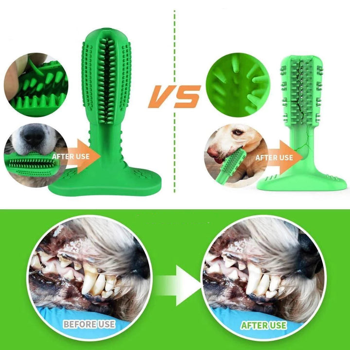 Denchew - Pet Toy Toothbrush | Stornfield