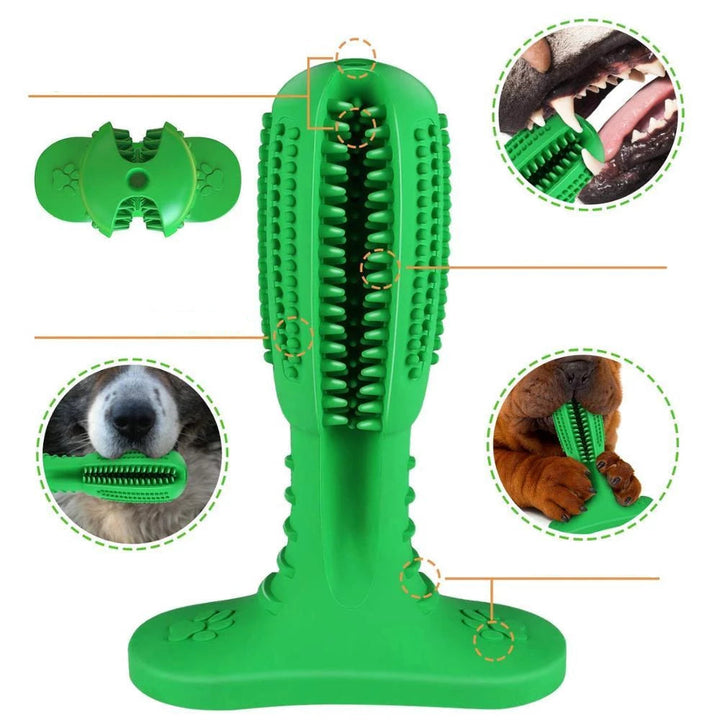 Denchew - Pet Toy Toothbrush | Stornfield