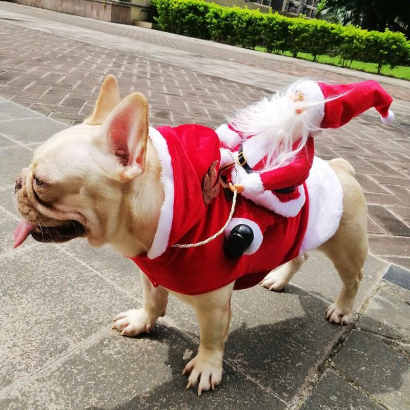 Christmas Dog Costume | Stornfield