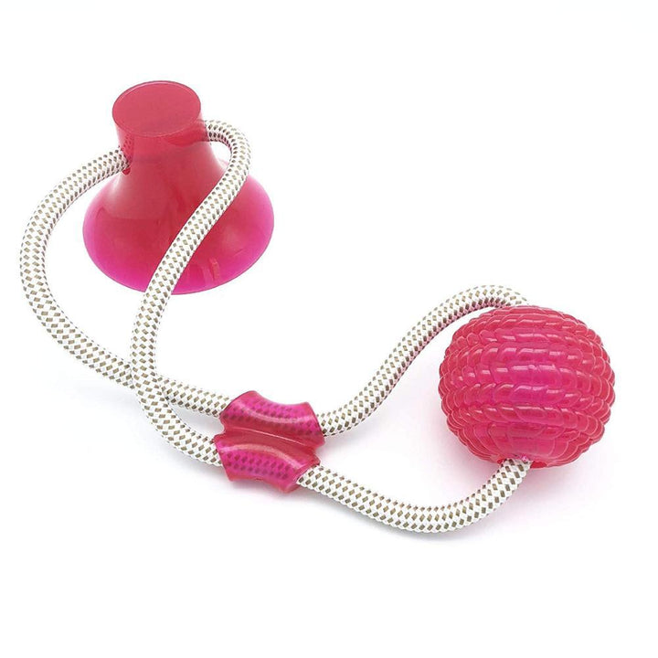 Max - Wall Hanging Pet Toy Ball | Stornfield