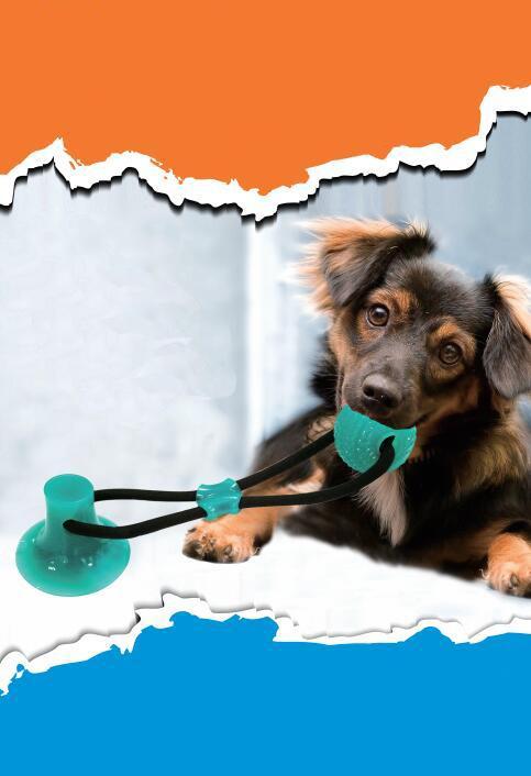 Max - Wall Hanging Pet Toy Ball | Stornfield