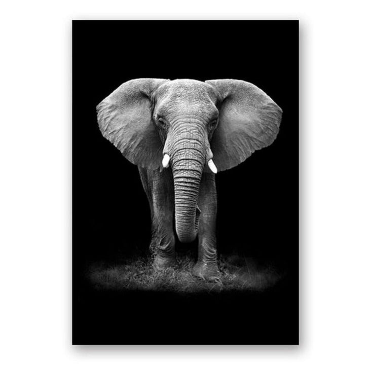 Stornfield | Wild Animals Africa Wildlife Black White - Canvas Wall Decor Painting