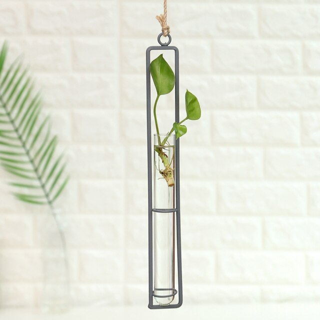 Iron Transparent Wall Hanging Flower Pot | Stornfield