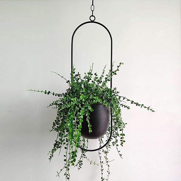 HaloRing Hanging Plant Holder – Metal Hanging Planter for Indoor and Outdoor | Stornfield