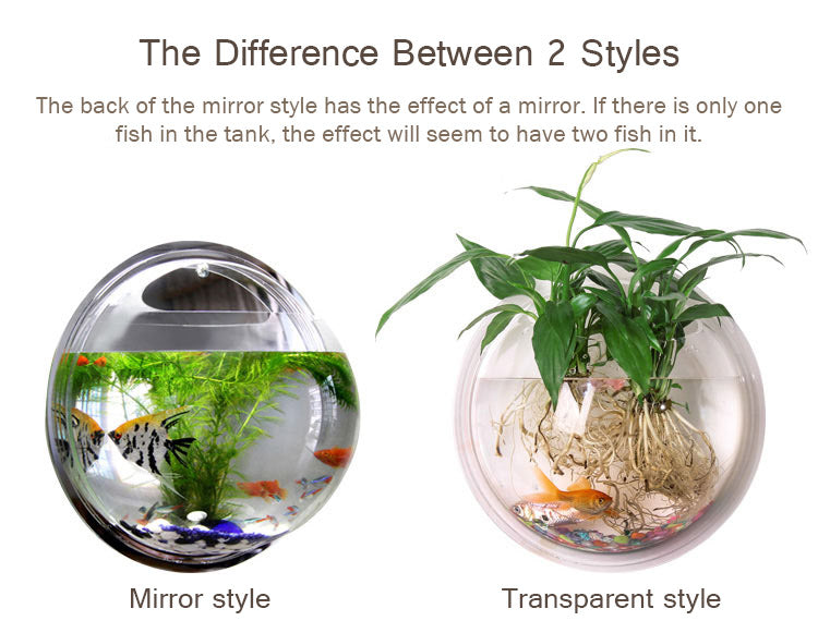 Wall Mounted Transparent Fish Tank Flower Vase | Stornfield