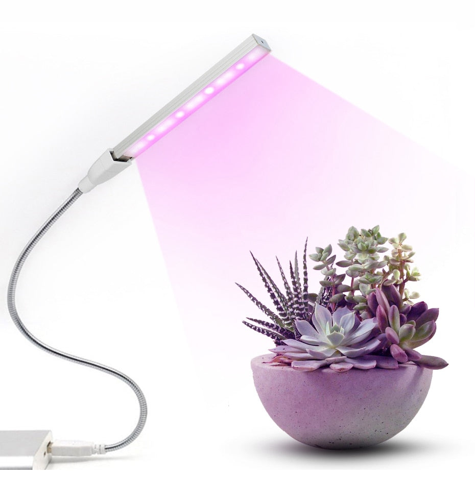 LED USB Plant Growing Phyto Lamp | Stornfield