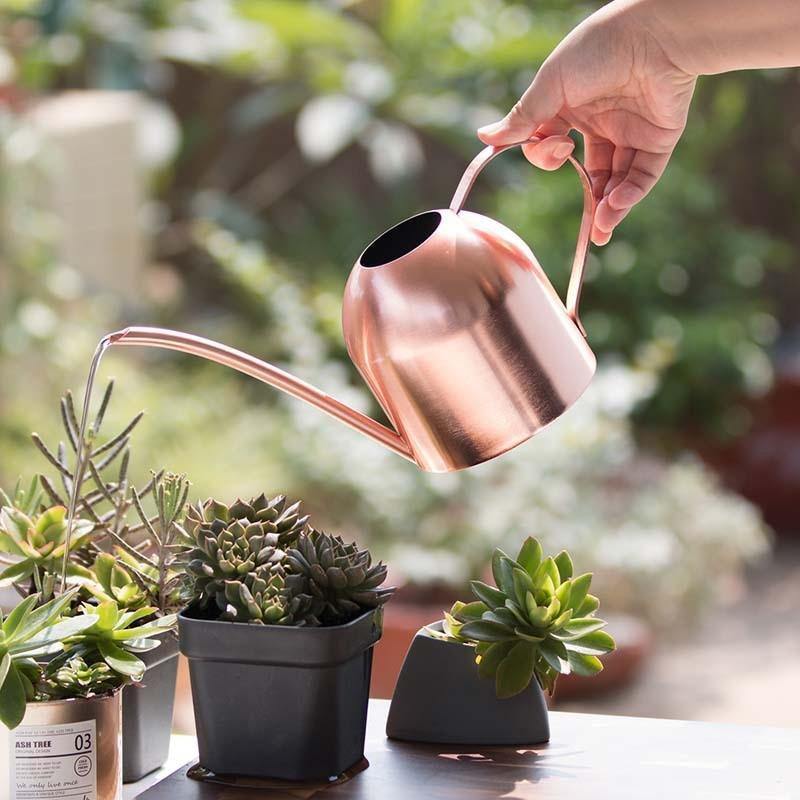 Stornfield | AquaGrace Stainless Steel Watering Can with Flexible Spout | Modern Design | Perfect Watering | Rust-Resistant