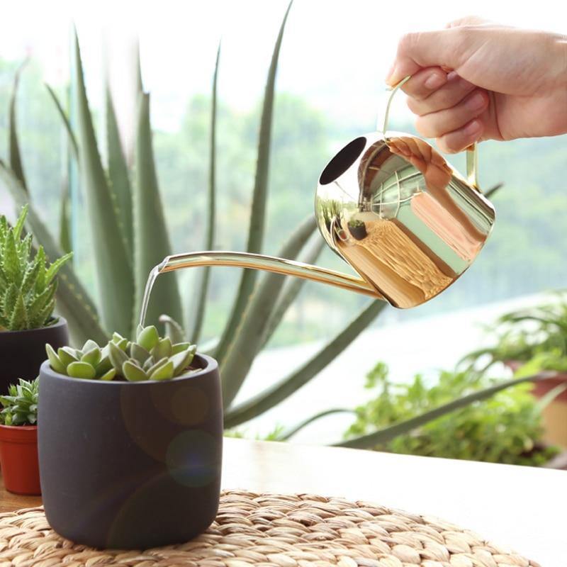 Stornfield | AquaGrace Stainless Steel Watering Can with Flexible Spout | Modern Design | Perfect Watering | Rust-Resistant