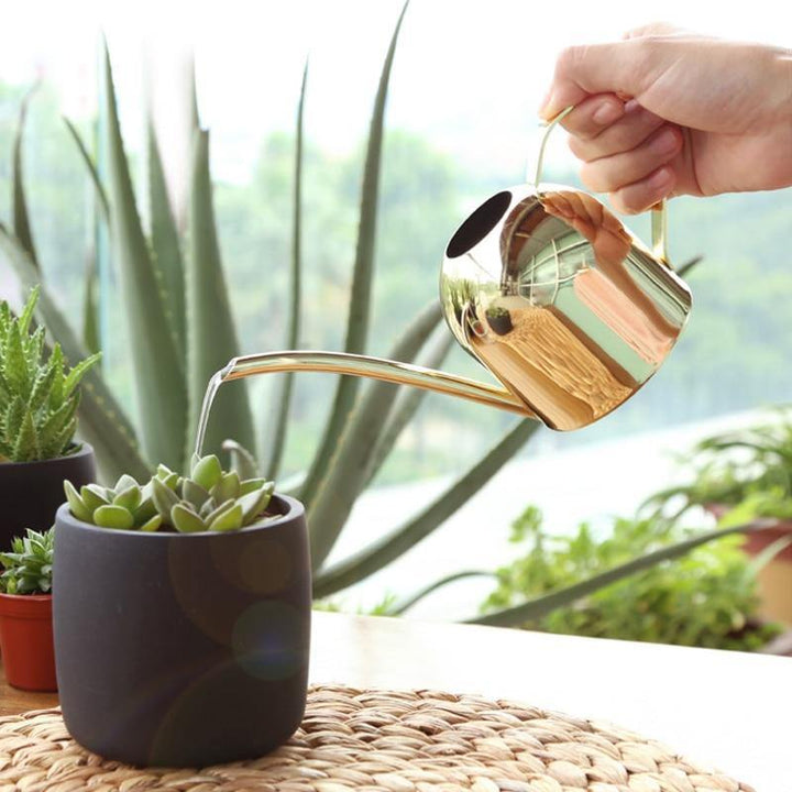 Stornfield | AquaGrace Stainless Steel Watering Can with Flexible Spout | Modern Design | Perfect Watering | Rust-Resistant