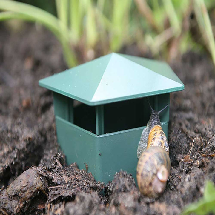 Eco-Friendly Farm Protector Insect Trap Box | Stornfield