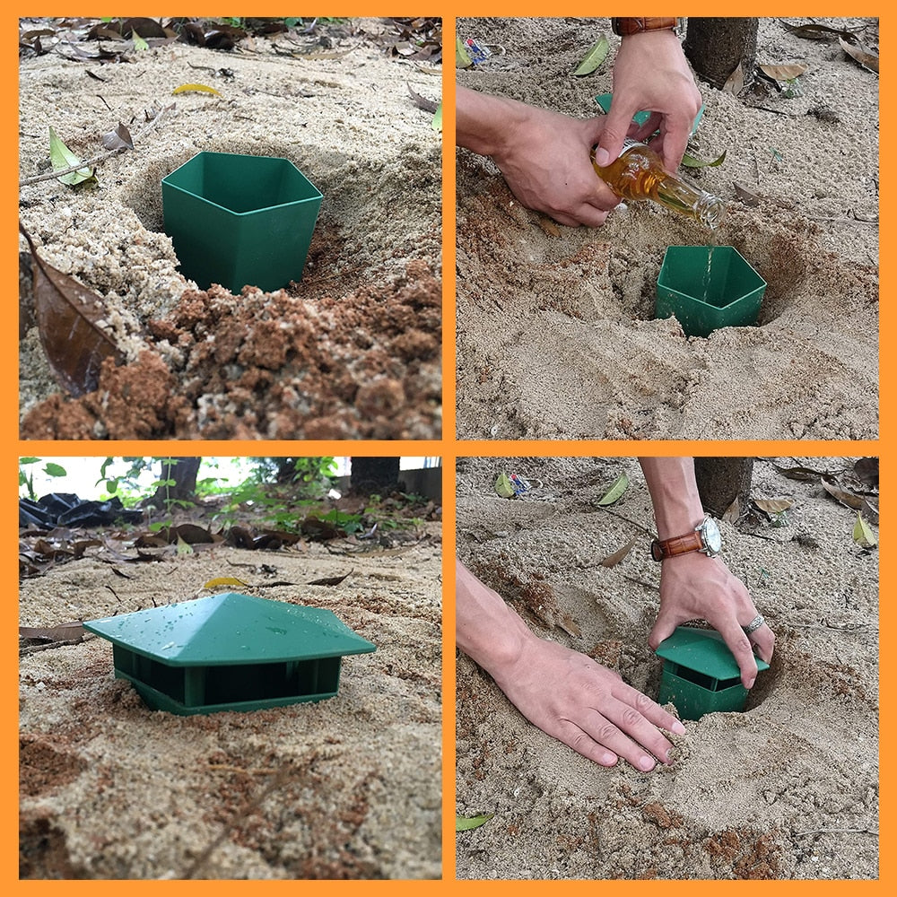 Eco-Friendly Farm Protector Insect Trap Box | Stornfield