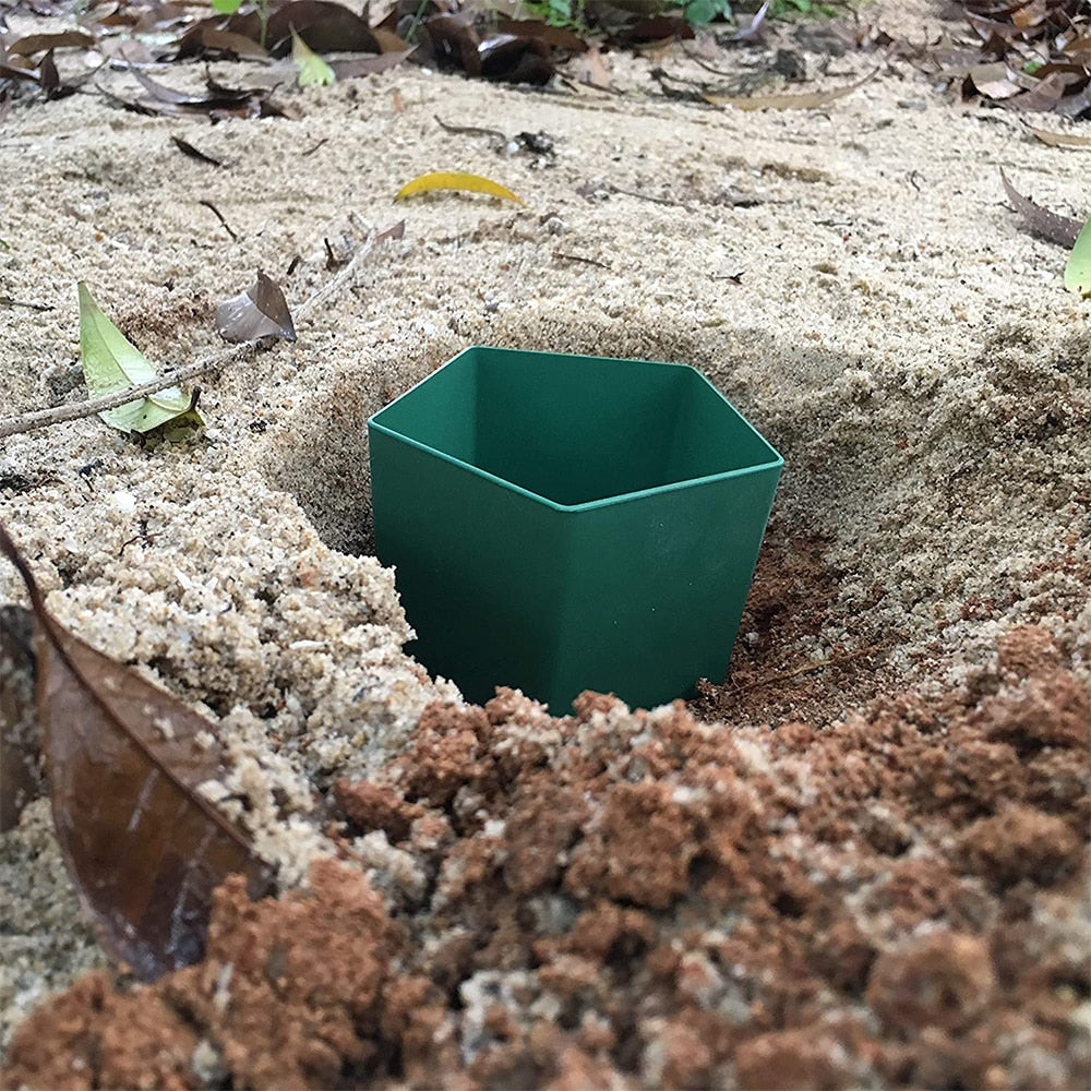 Eco-Friendly Farm Protector Insect Trap Box | Stornfield
