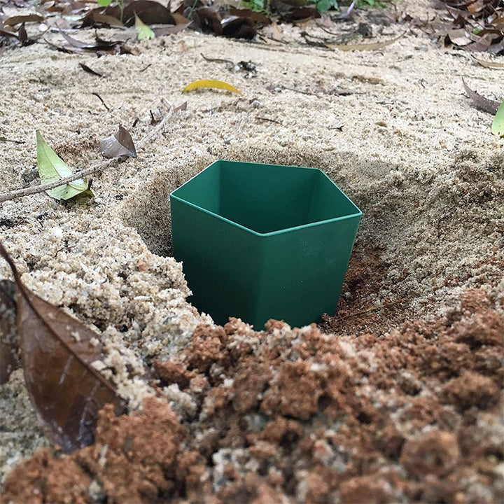 Eco-Friendly Farm Protector Insect Trap Box | Stornfield